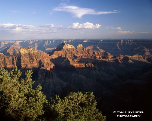 Daily Grand Canyon Tour