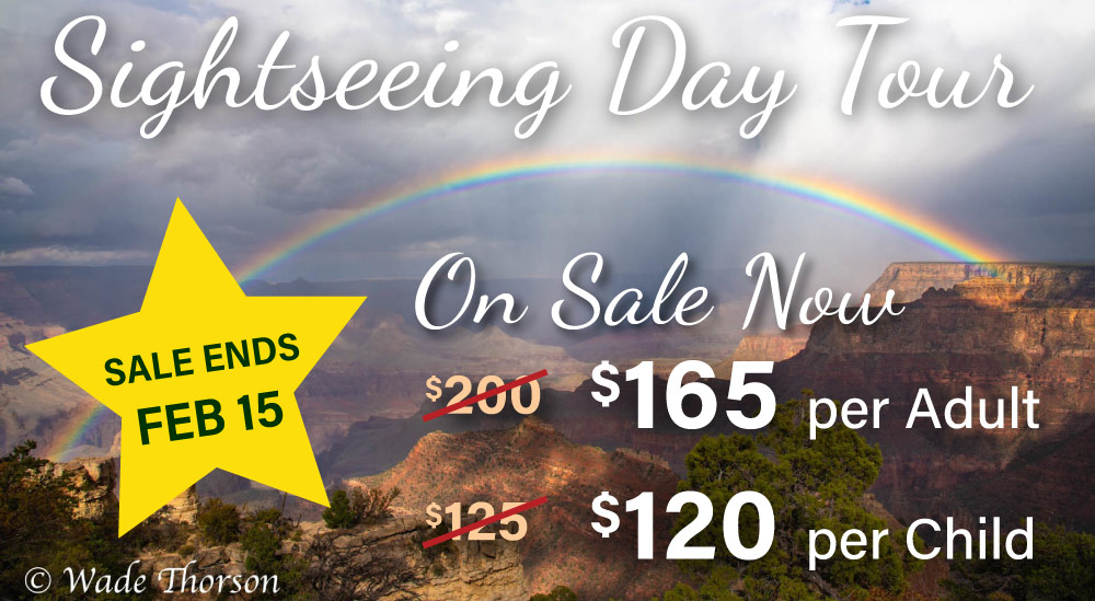 Grand Canyon Day Tour From Flagstaff Group Or Private Luxury