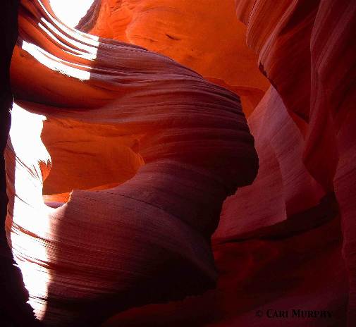Employee Retention Grand Canyon Travel Employee Retention Grand Canyon Travel
