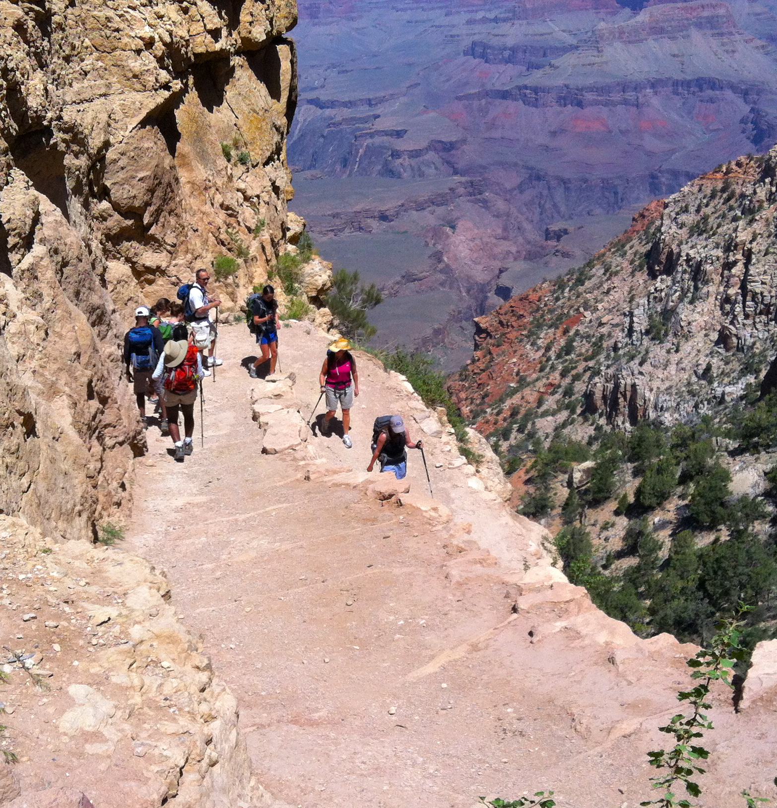 grand canyon trekking tours